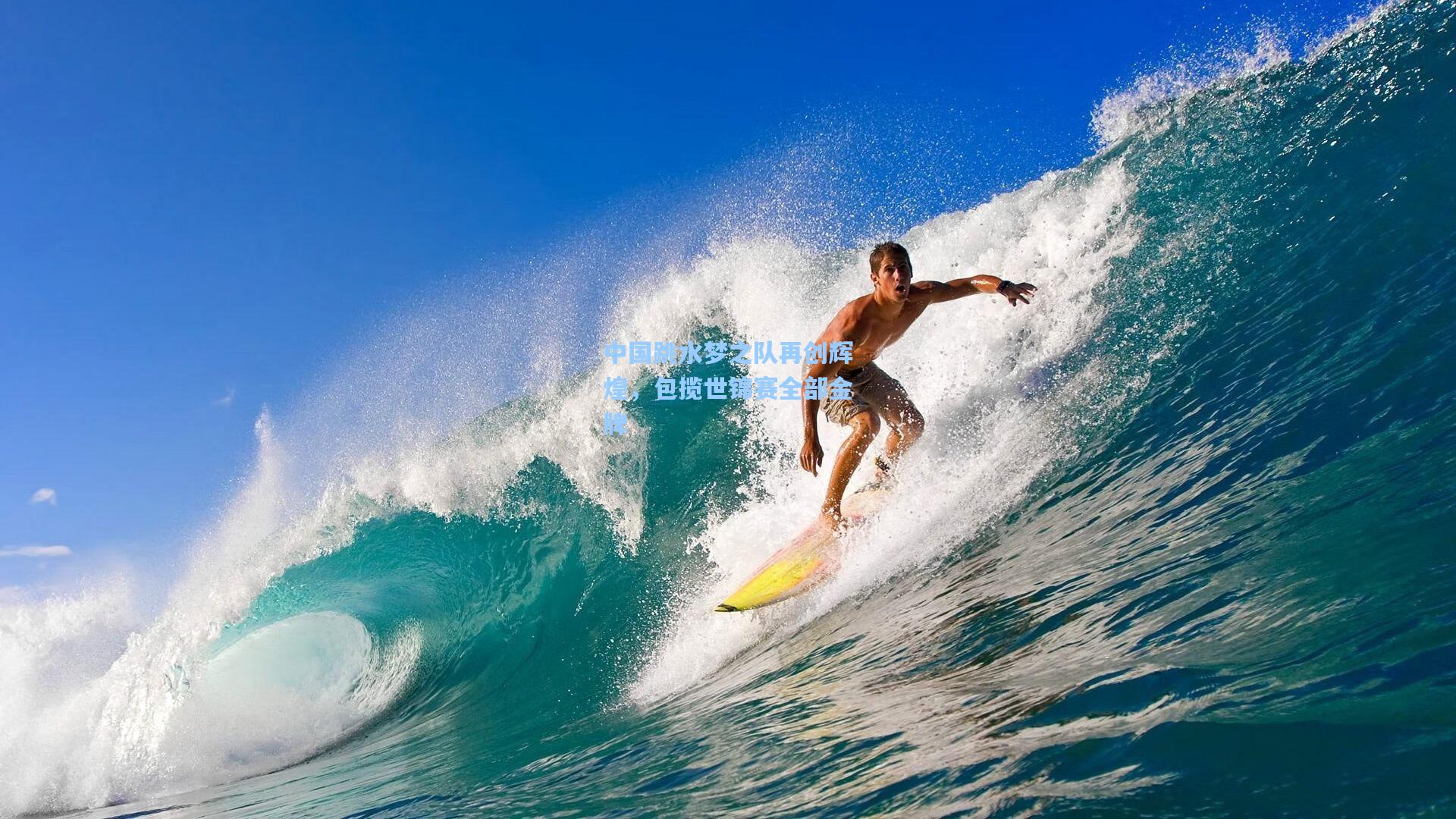 开云app_中国跳水梦之队再创辉煌，包揽世锦赛全部金牌