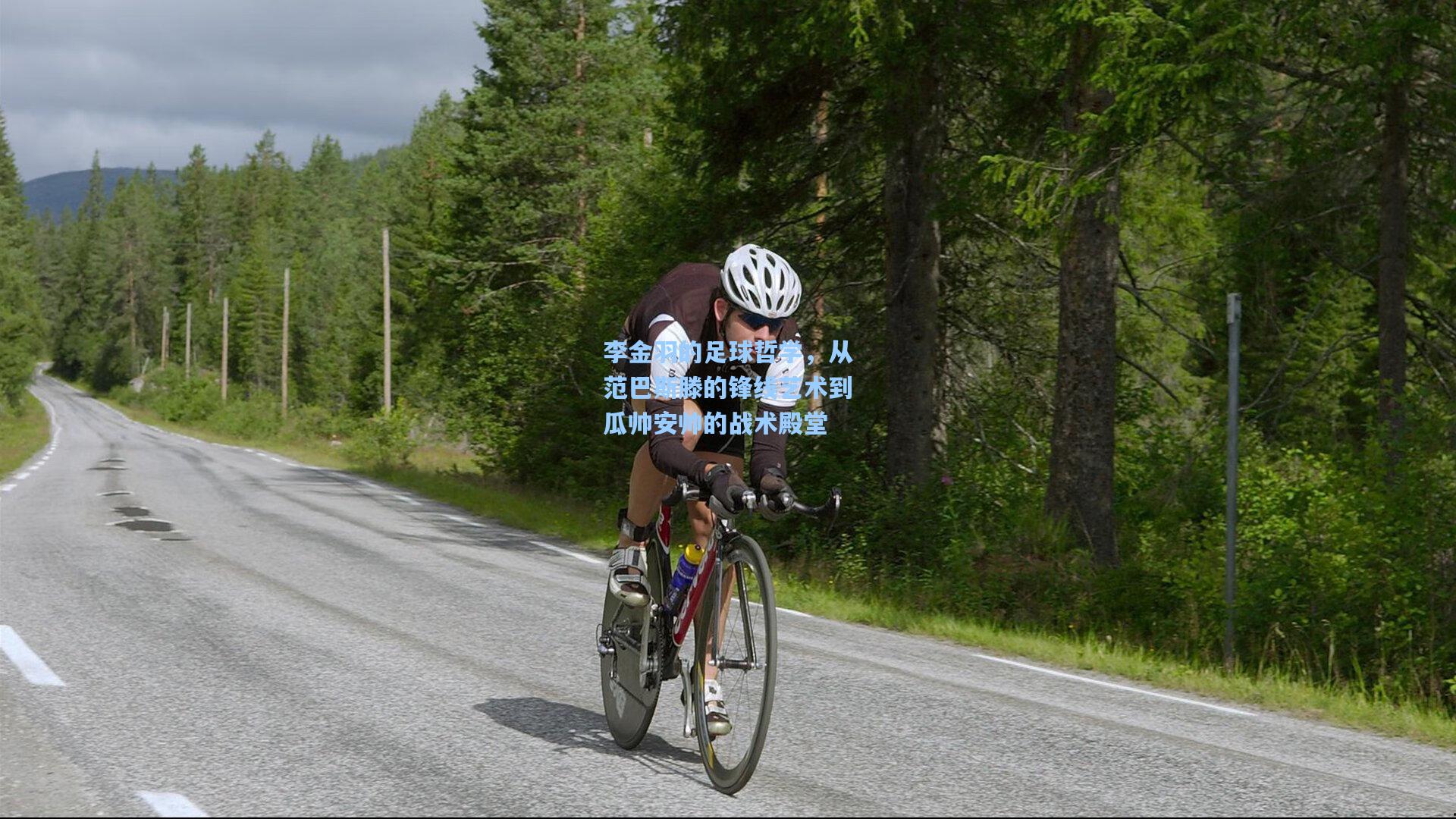 【kaiyun】李金羽的足球哲学，从范巴斯滕的锋线艺术到瓜帅安帅的战术殿堂